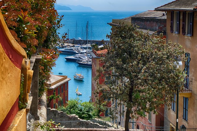 Monterosso and Portofino Shore Excursion from La Spezia - The return to La Spezia and the value of private transport