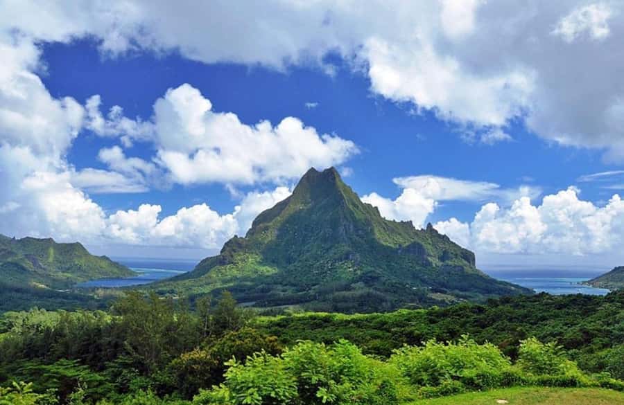 Moorea Cruise Ships 4x4, Belvedere Magic mount PRIVATE Tours - Who will get the most from this Moorea tour