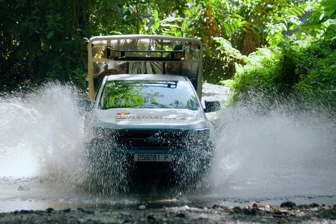 Moorea Cruise Ships: 4x4, Belvedere,Magic Mountain pineaple - Riding the cushioned 4x4 into Moorea’s hills