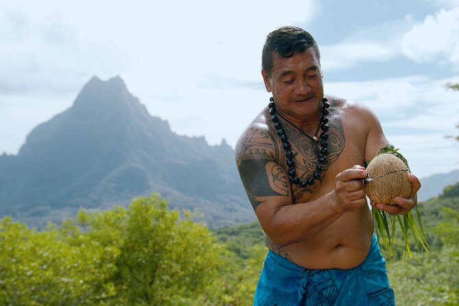 Moorea Cruise Ships: 4x4, Belvedere,Magic Mountain pineaple - Belvedere Lookout and the volcanic heart of the island
