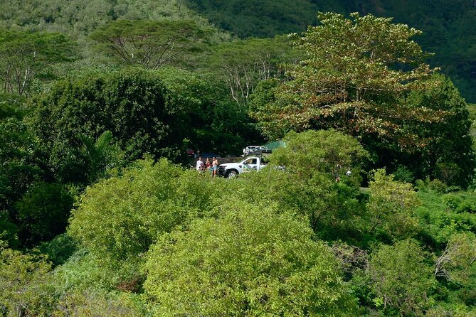 Moorea Cruise Ships: 4x4, Belvedere,Magic Mountain pineaple - Fresh-water eels, a marae, and local culture