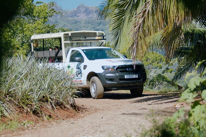 Moorea Cruise Ships: 4x4, Belvedere,Magic Mountain pineaple - Fruit, jam, juice, and liquor tastings