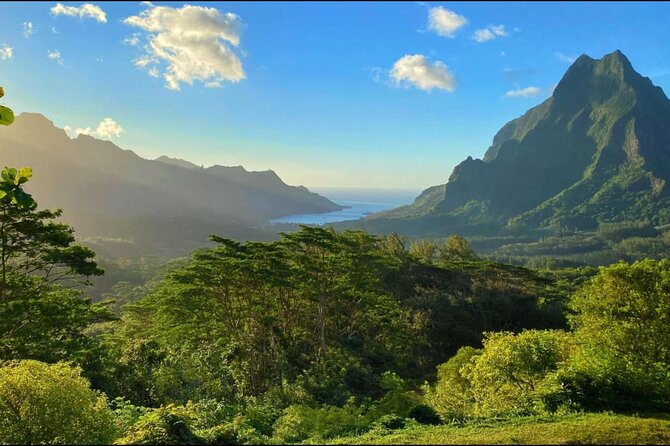 Moorea Cruise Ships: 4x4, Belvedere,Magic Mountain pineaple - Opunohu Bay and the first taste of Moorea
