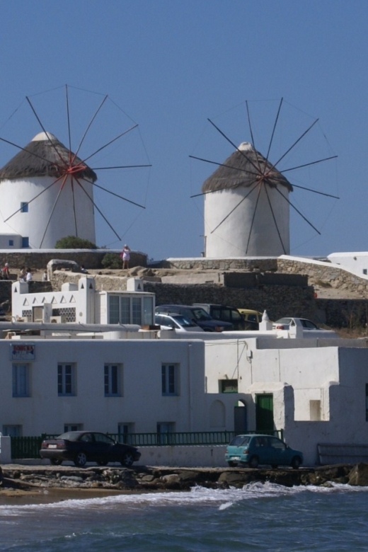 Mykonos Shore Excursion: City & Island Tour - Why this Mykonos tour works well from a cruise ship