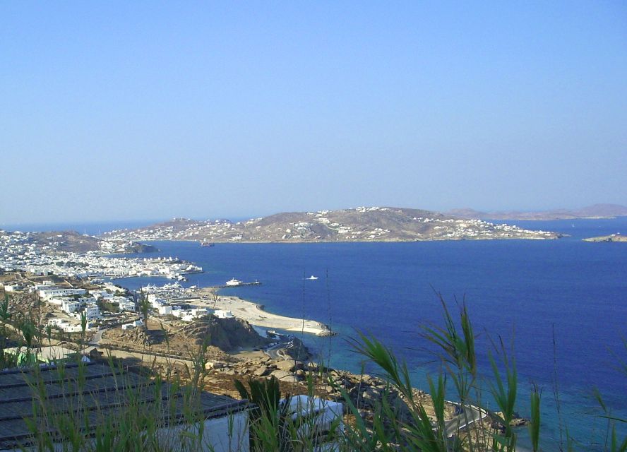 Mykonos: Shore Excursion with Cruise Ship Terminal Pickup - Who should book this Mykonos excursion?