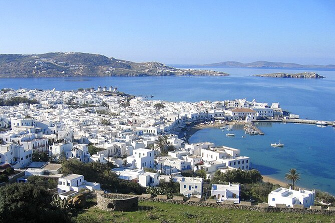 Mykonos Shore Excursion with Pickup from Cruise Ship Terminal - Kalafati Beach for sea views and a quick pause