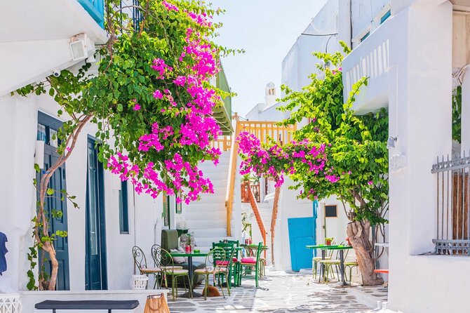 Mykonos Small Group Tour for Cruise Passengers — Port Pickup - Kalafatis and Elia, two different beach stops