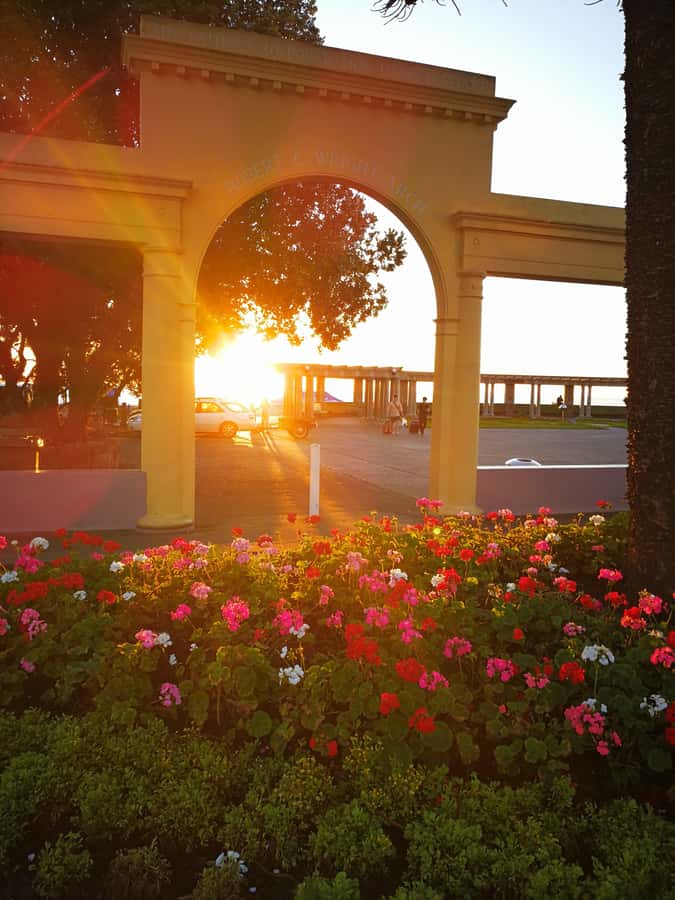 Napier: Shore Excursion with Wine Tasting and Platter - Key points to know before booking