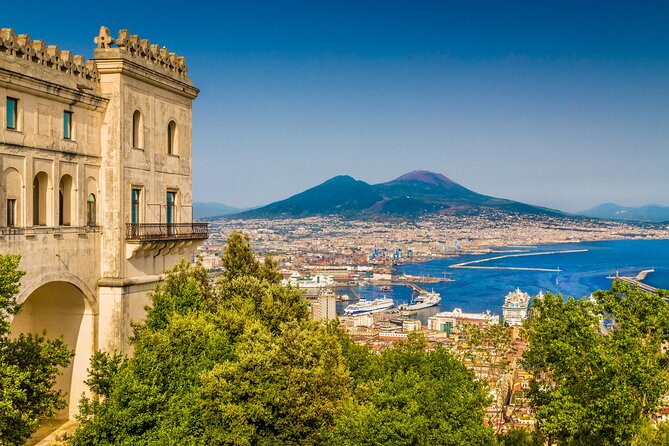 Naples/Salerno Port: Pompeii & Vesuvius - lunch or wine tasting - Who should book this excursion