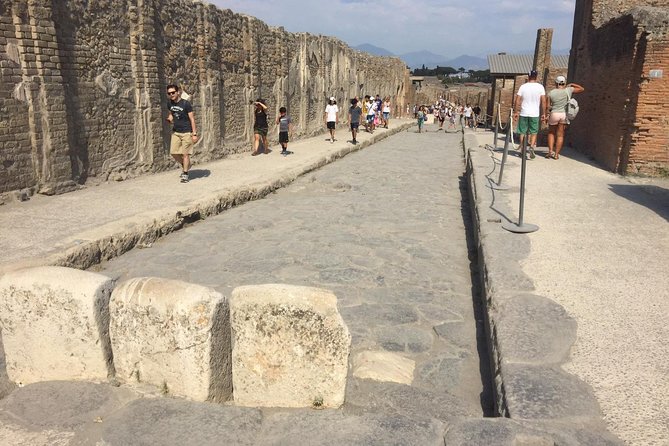 Naples Shore Excursion: Pompeii and Sorrento Day Trip - The guides can make or break the day