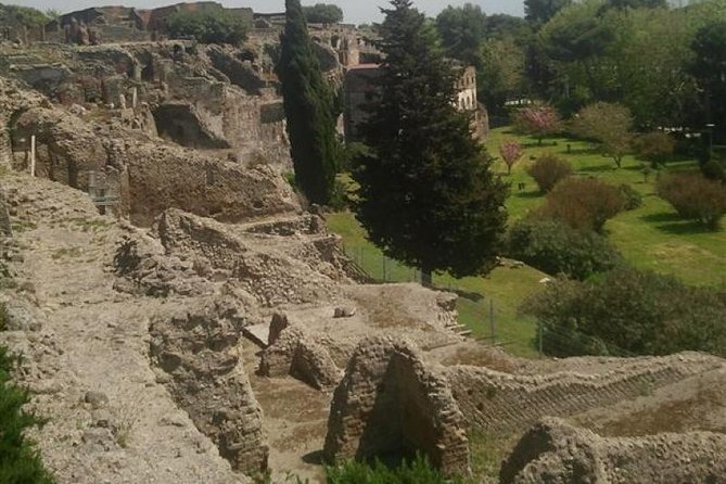 Naples Shore Excursion: Pompeii Half Day Trip from Naples - Entering the Archaeological Park