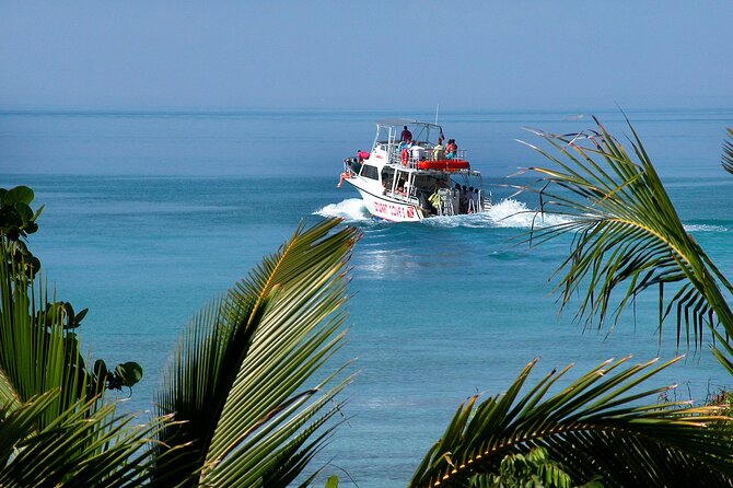Nassau Shore Excursion: Bahamas Snorkel Adventure - The shark stop, and why it can feel cramped