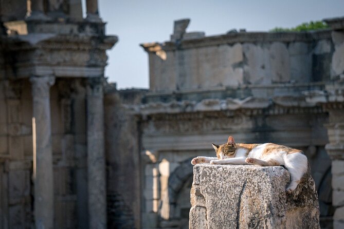 NEW: Private The Most Detailed Ephesus Shore Excursion / with Lunch - Starting at Mary’s House