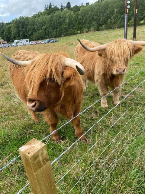 NORTH HIGHLAND TOUR, DUNROBIN CASTLE & MORE FROM INVERGORDON - Why this route works from Invergordon