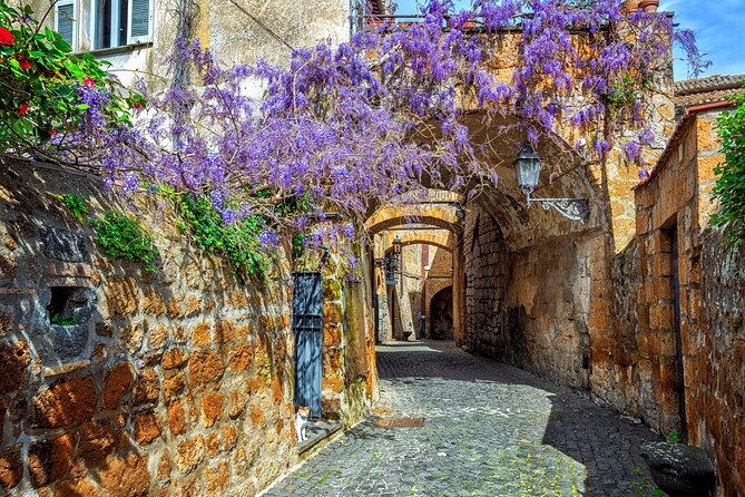 Orvieto and Civita di Bagnoregio from Civitavecchia - Private Tour - How much time will you really have?