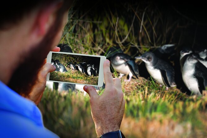 Otago Peninsula & Larnach Castle Shore Excursion - Baldwin Street: a quick test for your calves