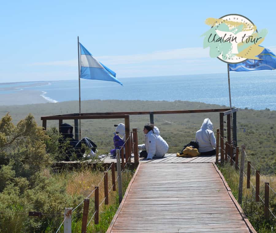 Peninsula Valdes: Shore excursion for cruise passengers - Key points to know before booking