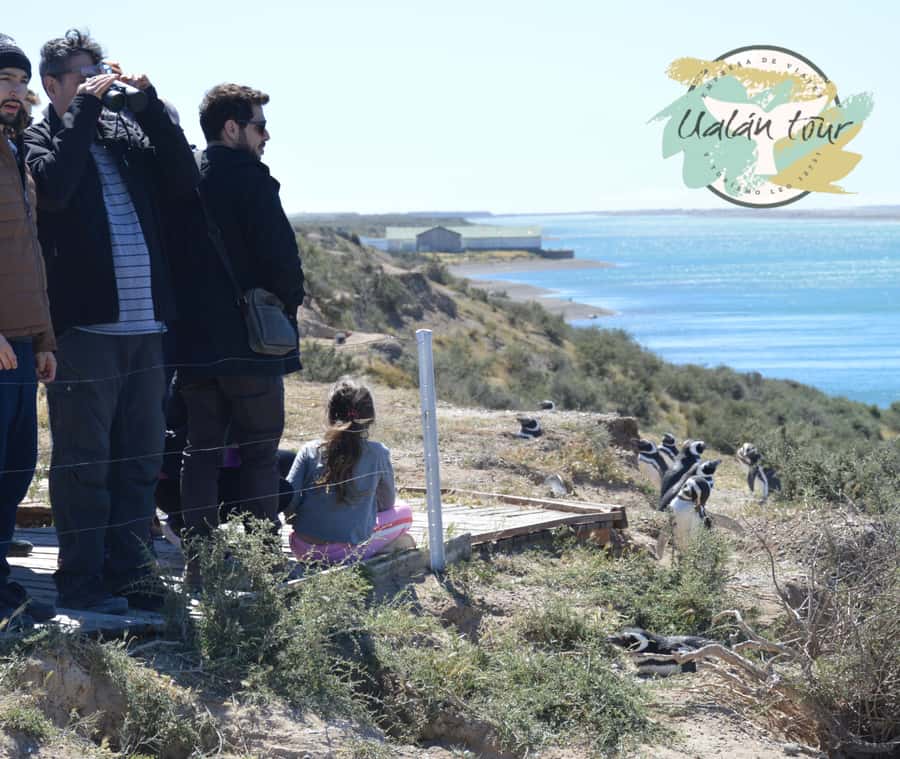 Peninsula Valdes: Shore excursion for cruise passengers - Meeting your van at Piedrabuena Pier