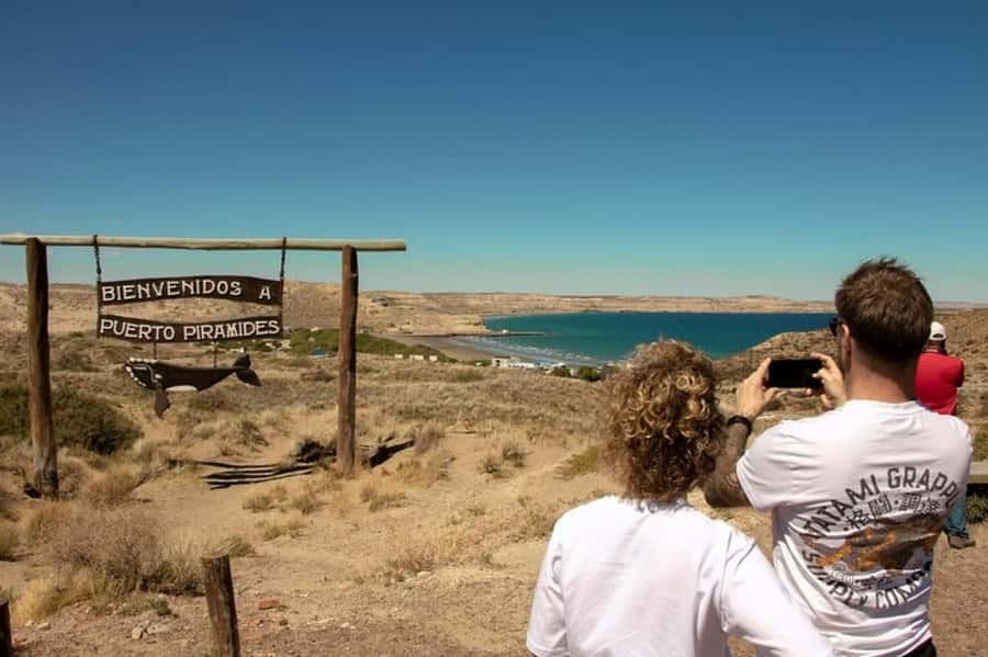 Peninsula Valdes Shore Tour for Cruise Passengers + City - Caleta Valdés and the southern elephant seals