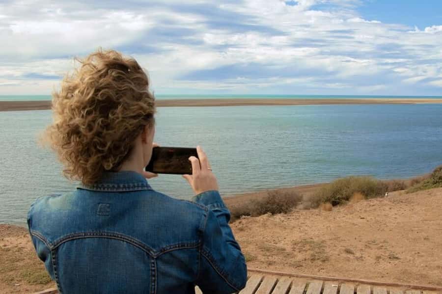 Peninsula Valdes Shore Tour for Cruise Passengers + City - The return to Puerto Madryn
