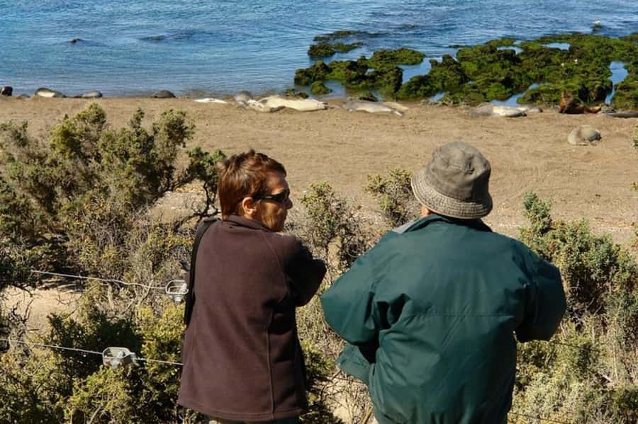 Peninsula Valdes Shore Tour for Cruise Passengers + City - What to bring for this Patagonian day