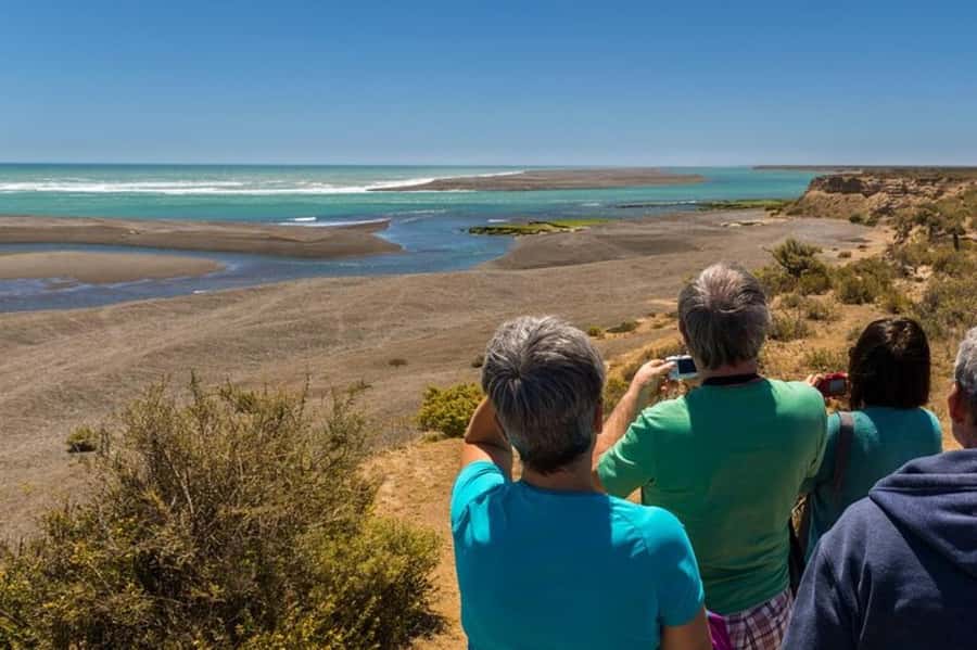 Peninsula Valdes Shore Tour for Cruise Passengers + City - Crossing the Carlos Ameghino Isthmus