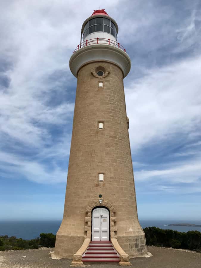 Penneshaw: Shore Excursion Kangaroo Island Scenic Tour - Why this is the best one-day snapshot of Kangaroo Island