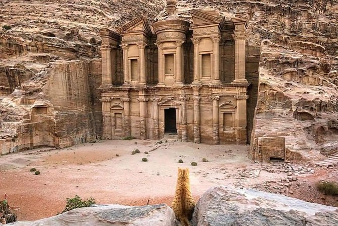 Petra Day Tour from Aqaba Port (Shore Excursion Petra) - JHT - The 700-meter walk to Petra’s Siq