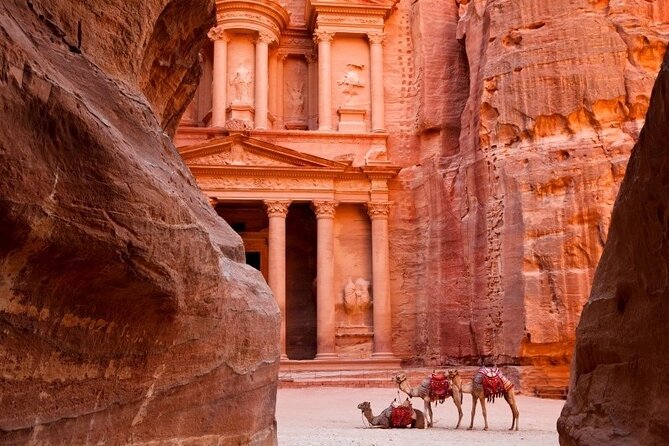 Petra One Day Tour From Aqaba / Aqaba Port ( Cruise Ship) - Why the private format works for small groups