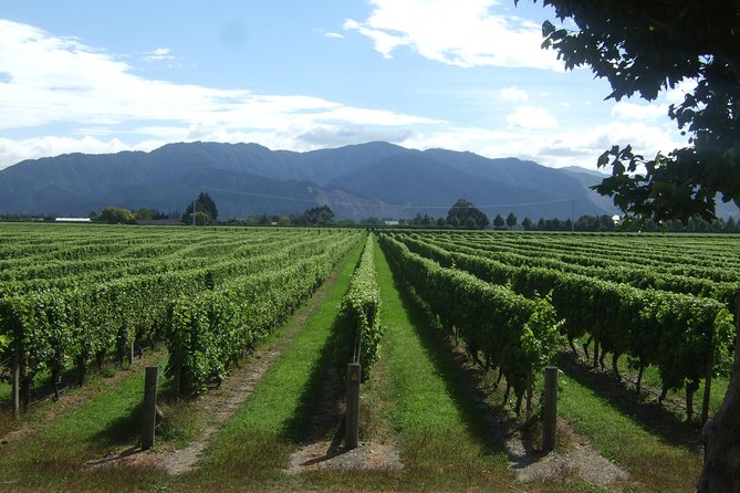 Picton Cruise Ship Shore Excursion Marlborough Wine Tour - From Picton harbor to Marlborough’s vineyards
