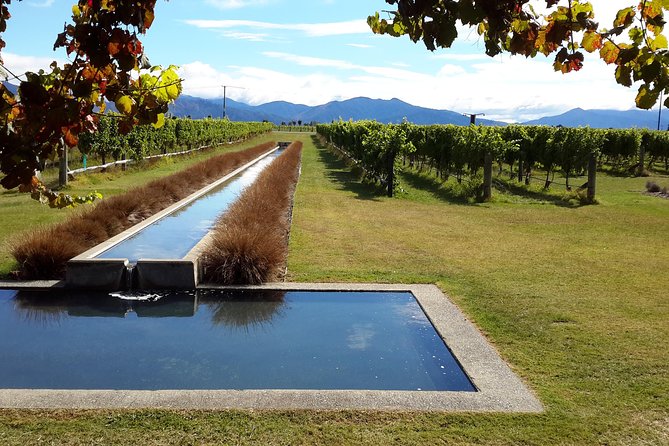 Picton Cruise Ship Shore Excursion Marlborough Wine Tour - Is the $155.14 price fair?