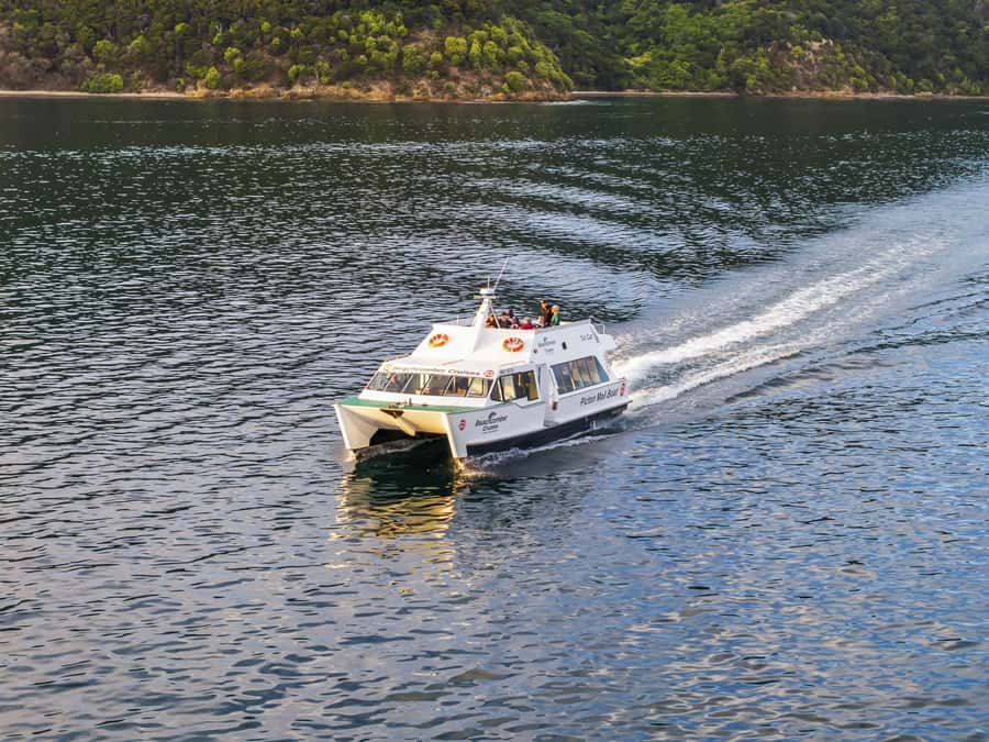 Picton Shore Excursion: Queen Charlotte Sounds Cruise - Why This Short Cruise Works So Well in Picton