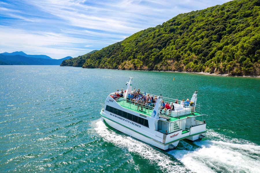 Picton Shore Excursion: Queen Charlotte Sounds Cruise - Finding the Boat at Picton Wharf