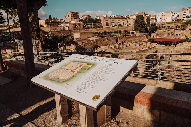 Pompeii and Herculaneum small group Excursion from Naples - Who will get the most from this excursion