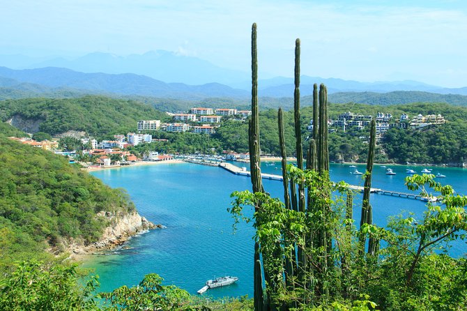 Premium Shore Excursion & Local Culture Tour - How dependable is the three-hour schedule?