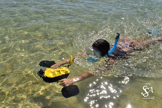 Princeville - Snorkeling Shore Excursion - Starting at Anahola Marketplace at 8:00 am