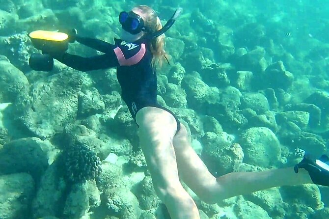 Princeville - Snorkeling Shore Excursion - Why the private, self-guided format works