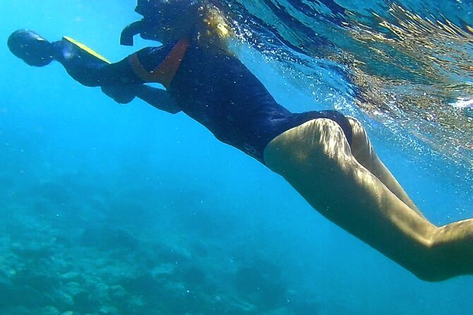Princeville - Snorkeling Shore Excursion - What the $123 price includes
