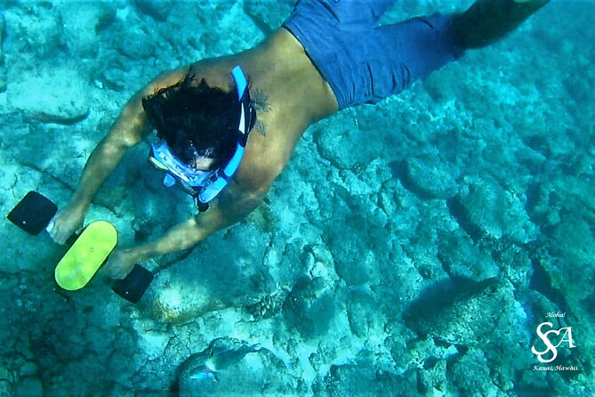 Princeville - Snorkeling Shore Excursion - What you can expect to see below the surface