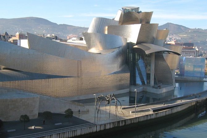 Private 4-hour City Tour of Bilbao with Hotel or Cruise Port pick-up - How the private vehicle changes the day