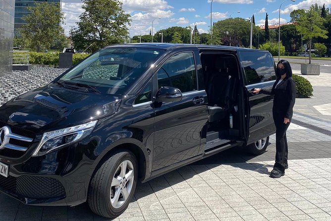 Private 4-hour City Tour of Bilbao with Hotel or Cruise Port pick-up - What the $609.90 price really buys