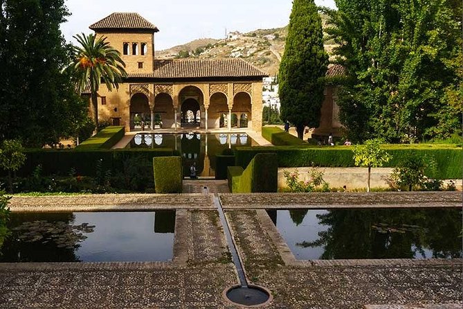 Private Alhambra palace tour and Granada from Motril cruise port - Courtyards, gardens, and the Nasrid world