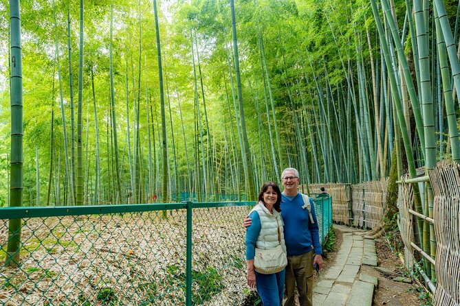 Private Car Tour to KYOTO, OSAKA or NARA | KOBE Shore Excursion - Osaka in about 45 minutes