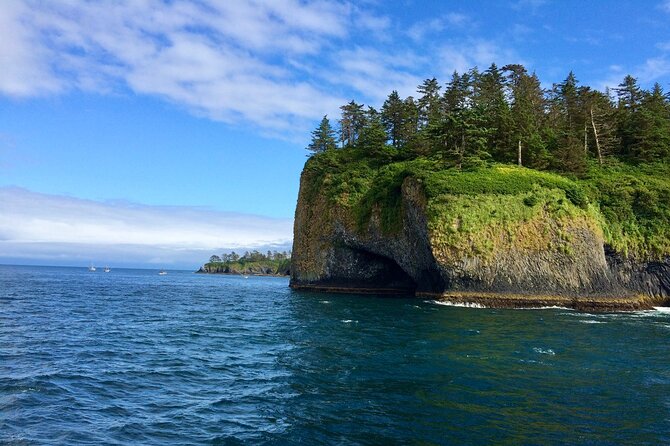 Private Charter Scenic Wildlife Excursion for Cruise Passengers - Meeting Captain Chris at Sitka Harbor