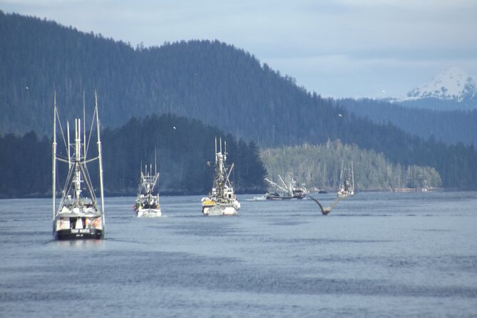 Private Charter Scenic Wildlife Excursion for Cruise Passengers - A warm cabin makes a real difference