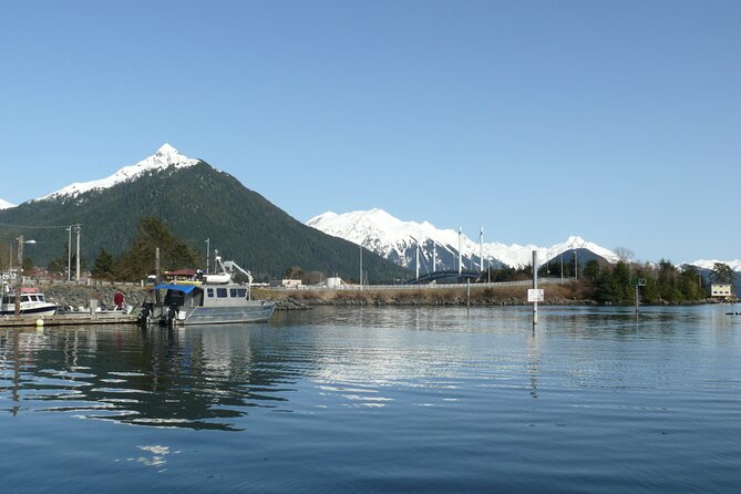 Private Charter Scenic Wildlife Excursion for Cruise Passengers - Who will enjoy this charter most