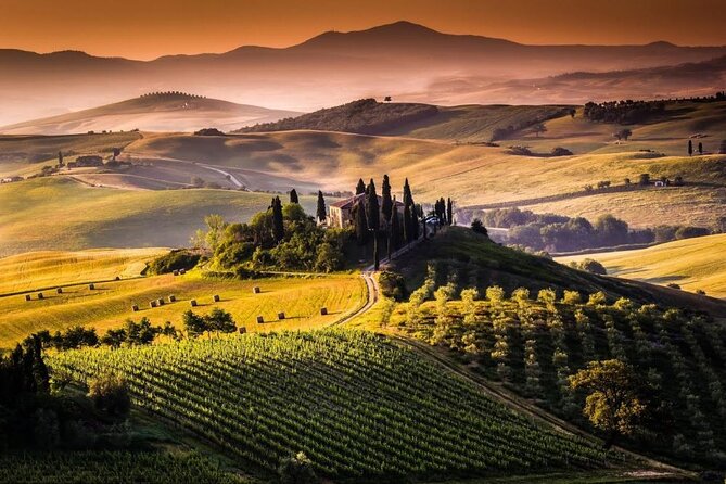 Private Chianti and SuperTuscan Tour 2 wineries with Light Lunch from Livorno - What makes the private format worthwhile