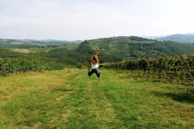 Private Chianti and SuperTuscan Tour 2 wineries with Light Lunch from Livorno