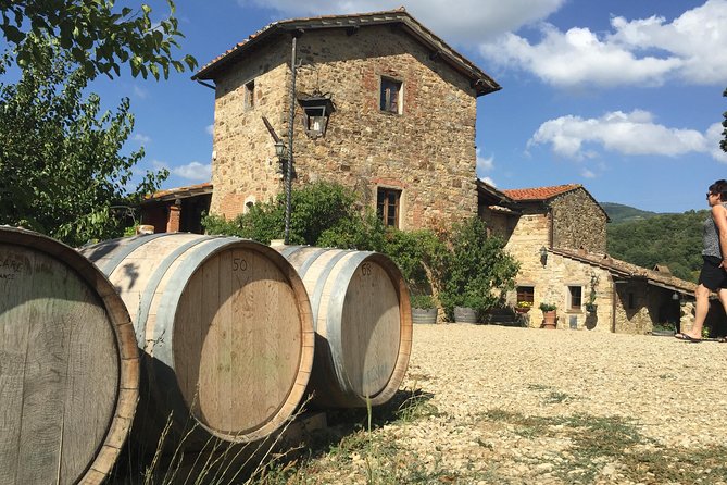 Private Chianti and SuperTuscan Tour 2 wineries with Light Lunch from Livorno - Mobility needs require a careful conversation