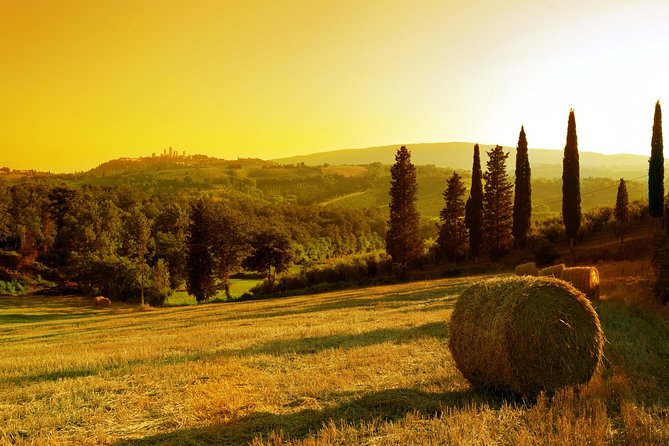 Private Chianti and SuperTuscan Tour 2 wineries with Light Lunch from Livorno - Timing, port return, and what to bring